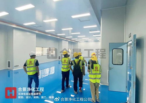 金山高新区生物医药新工厂投用 总投资3.5亿元，合景净化工程公司引领行业新篇章