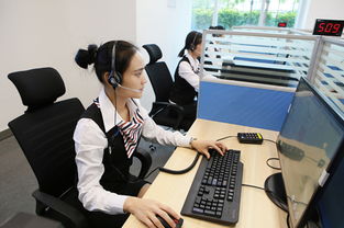 政务服务中心咨询中心 高效便捷的信息咨询服务