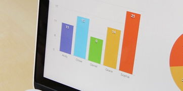 朝阳商业计划书融资方案与信息咨询服务一体化解决方案